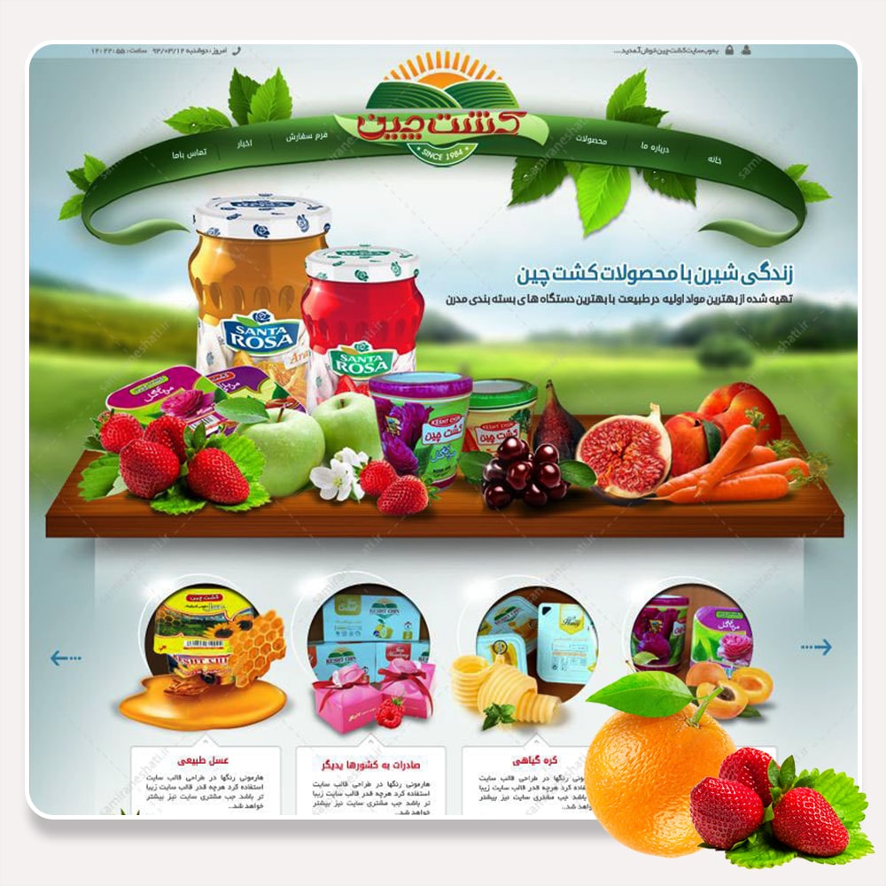 طراحی سایت کشت چین